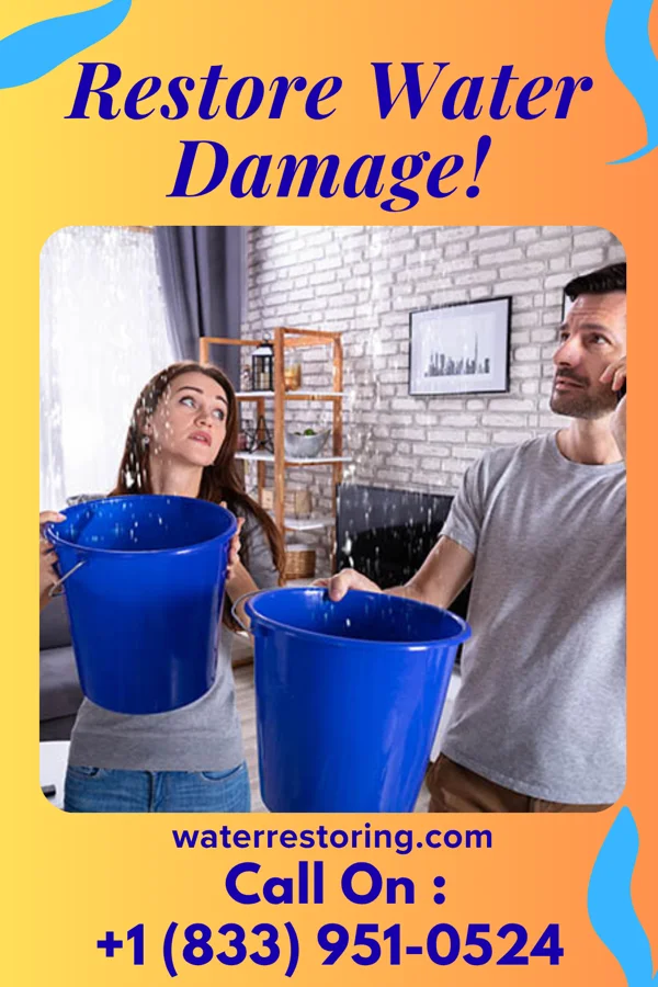 water restoration Vanguard Water Damage Team Prairie City